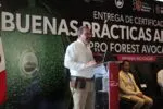 Libre de deforestación el 70 % del aguacate michoacano exportado a EU: Secma