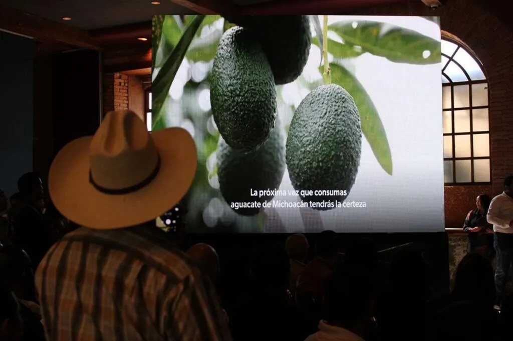 Libre de deforestación el 70 % del aguacate michoacano exportado a EU: Secma-2