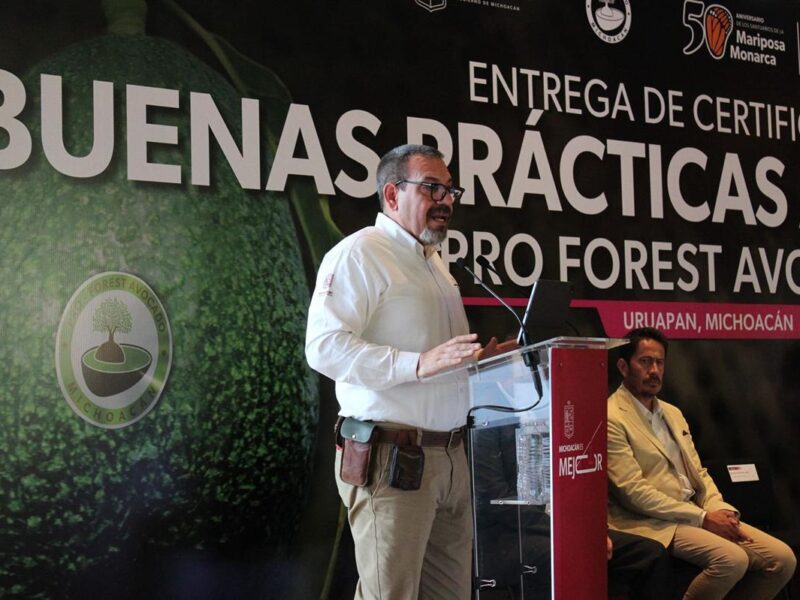 Libre de deforestación el 70 % del aguacate michoacano exportado a EU: Secma