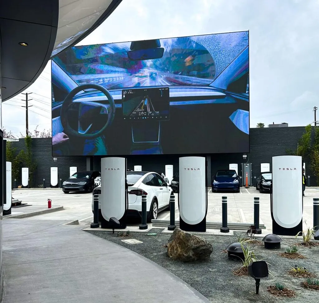 Niega Tesla que busque reemplazo de Musk tras malos resultados en primer trimestre del 2025