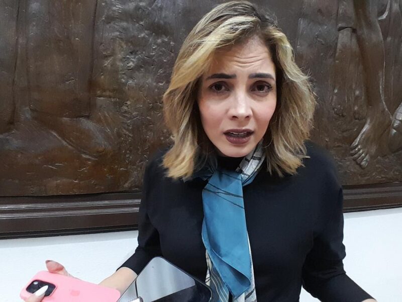 No estoy cerrada a entablar diálogo con todos los actores políticos: Brissa Arroyo