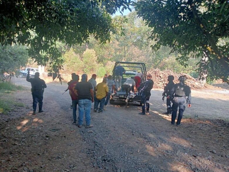 Operativo de policías municipales ante robo de aguacates