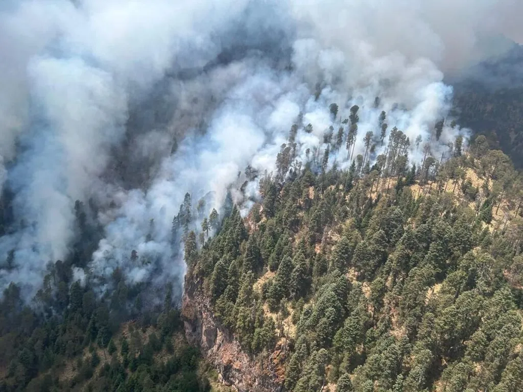 Por aire y tierra Gobierno de Michoacán combate incendio en el Pico de Tancítaro-1