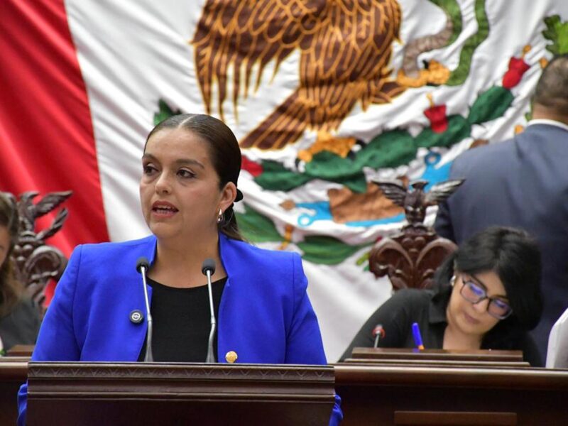Por una cultura de la paz, diputada Tere Herrera propone evitar regalar juguetes bélicos