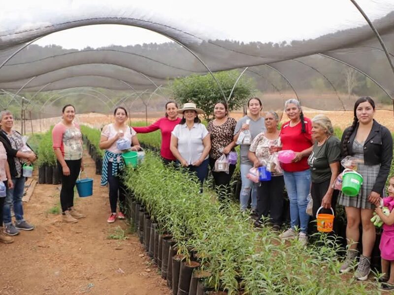 Reconocimiento a madres de Icuácato