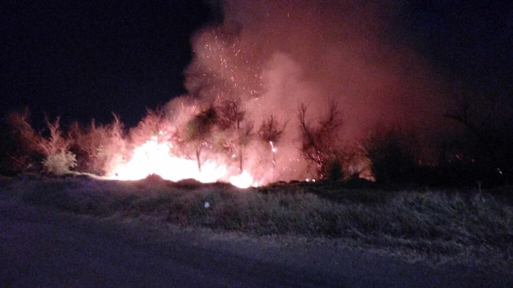 Reportan incendio de maleza en Morelia