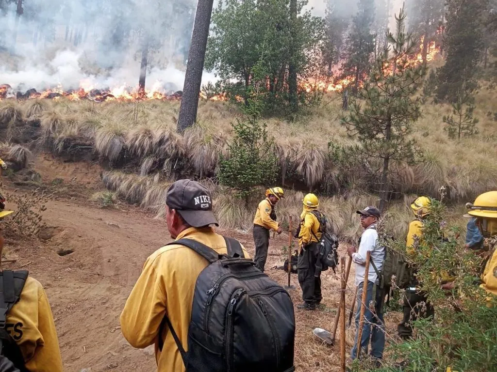 Sin incendios activos en Michoacán; brigadistas logran control de siniestros: Cofom