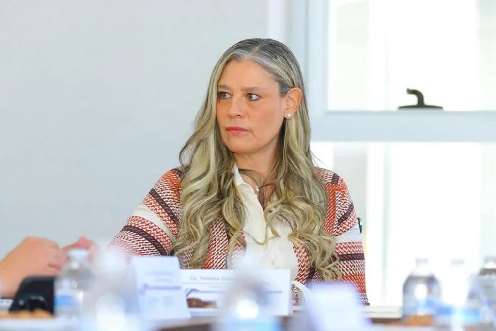 Suman 50 licencias tipo C en revisión en Morelia; van por nuevo reglamento para abrir negocios