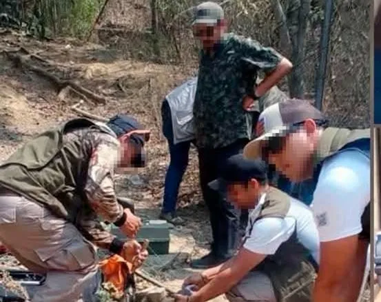 Traslado de venados en Zoológico de Morelia 1
