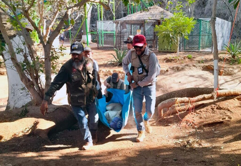 Zoológico de Morelia resguarda ejemplares decomisados