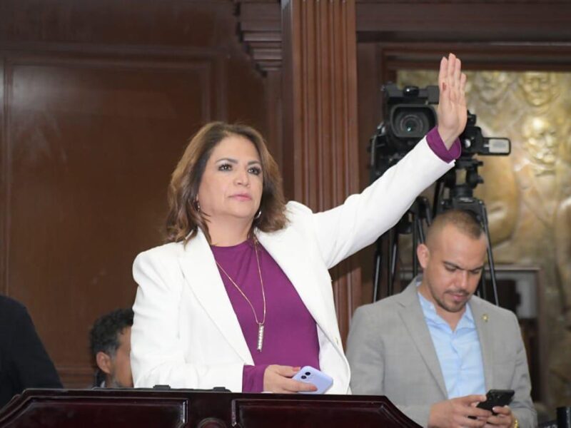 Alternancia de género en candidaturas en parlamento abierto: Fabiola Alanís