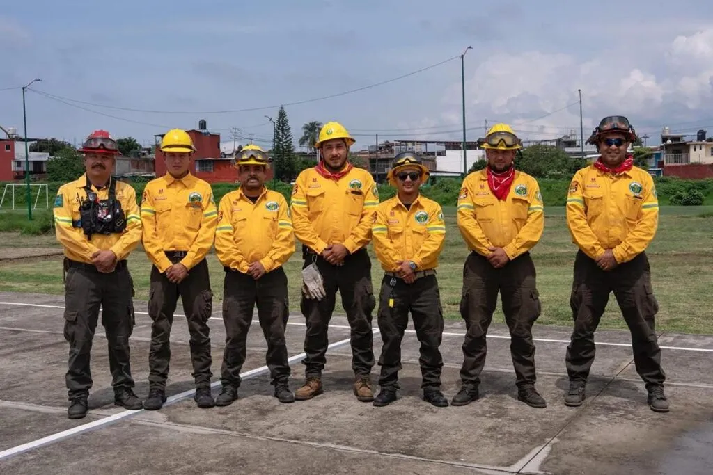 Arranca Bedolla reforestación 2025 en Michoacán-3