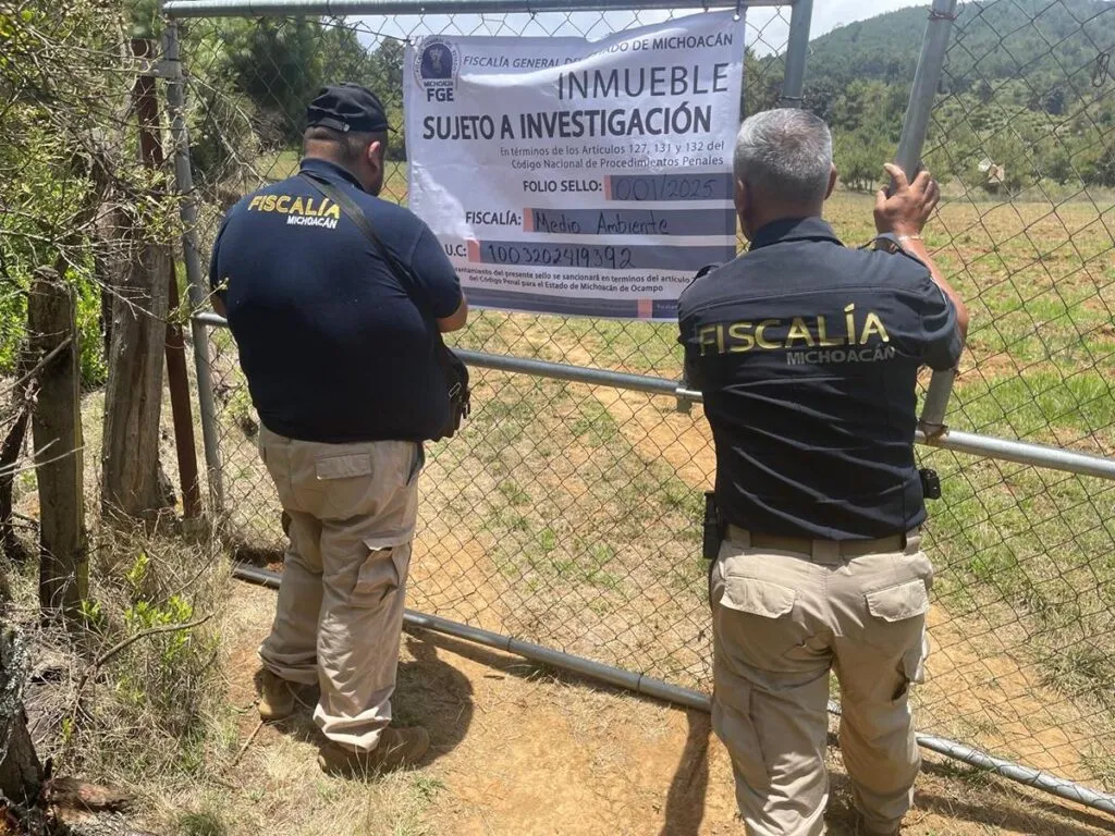 Asegura FGE predio dedicado a tala clandestina y plantación no autorizada de aguacate