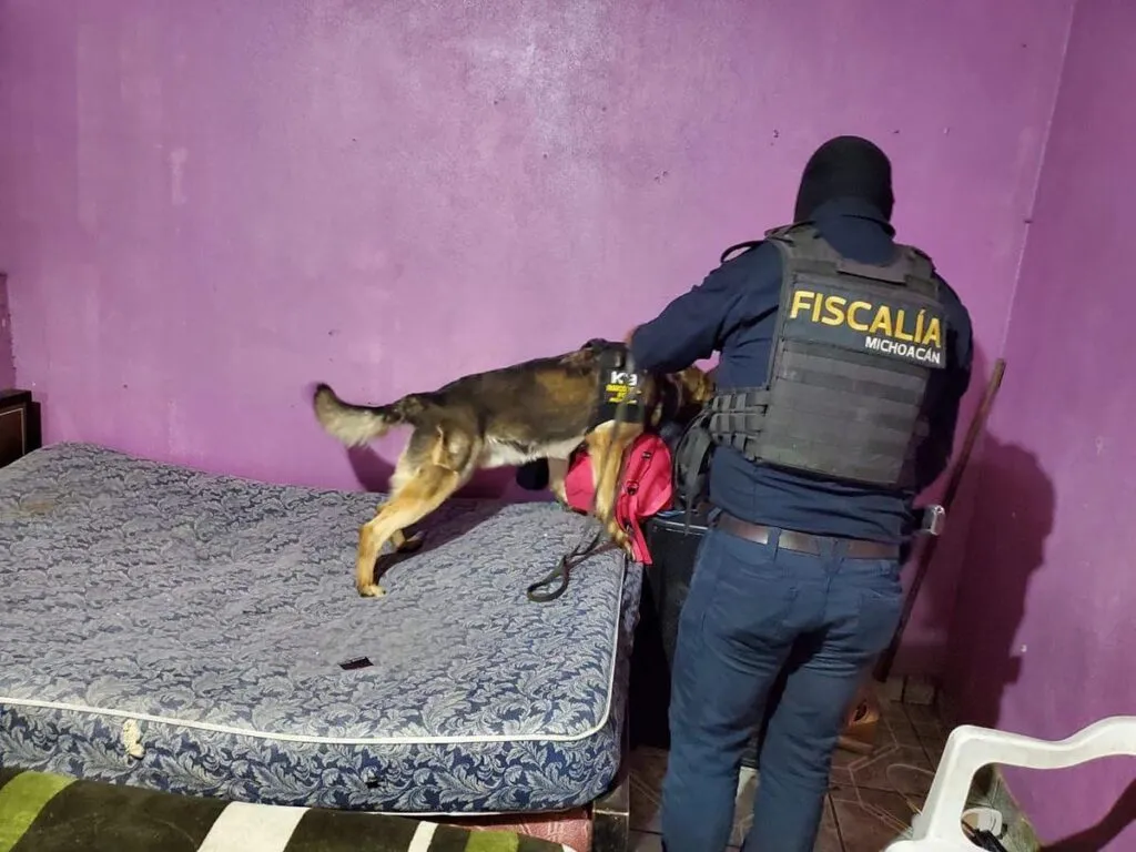 asegura más de mil 400 dosis de metanfetamina en Morelia y Tacámbaro