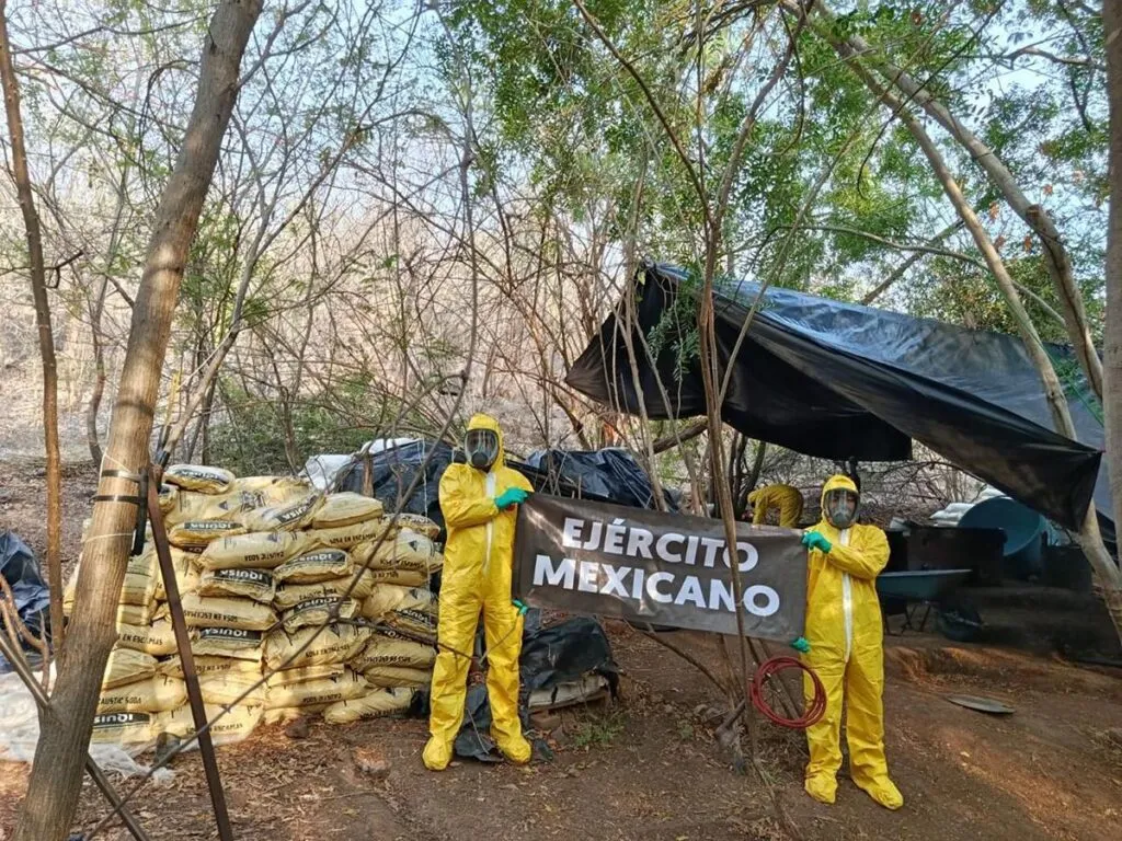 Asegurados 843 kg de drogas en laboratorio clandestino de Aquila: SSP