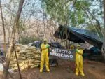 Asegurados 843 kg de drogas en laboratorio clandestino de Aquila: SSP