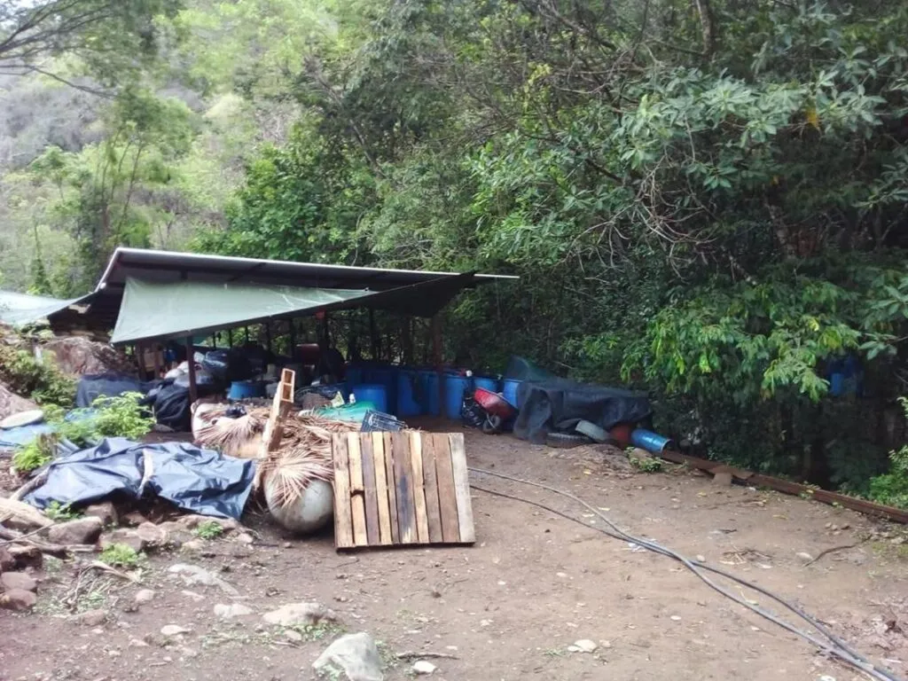 Asegurados 843 kg de drogas en laboratorio clandestino de Aquila: SSP-5