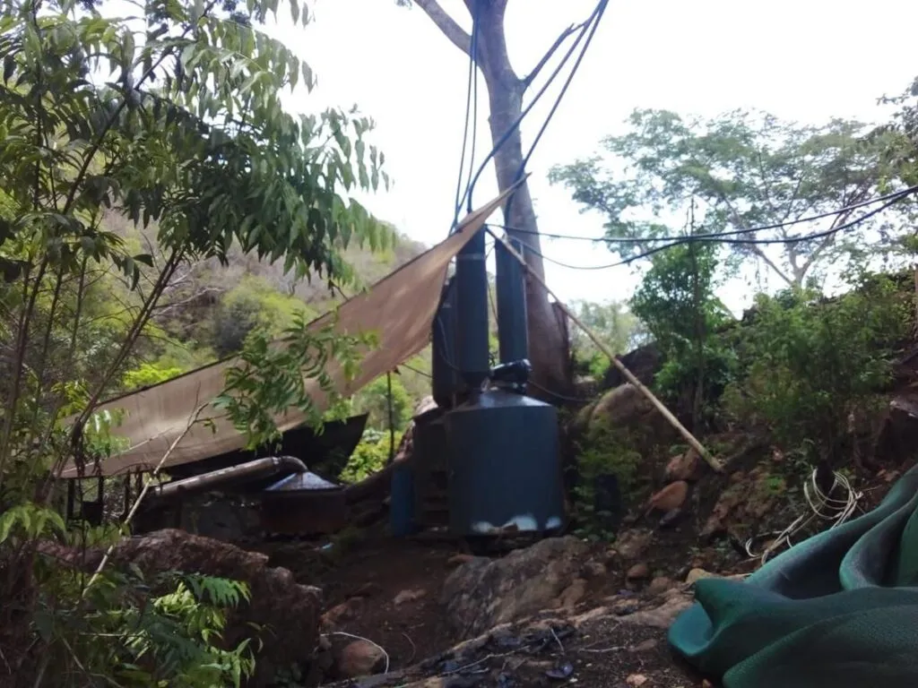 Asegurados 843 kg de drogas en laboratorio clandestino de Aquila: SSP-6