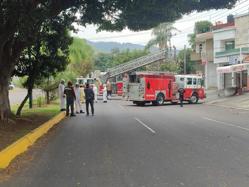 ataque de abejas a pobladores en Uruapan