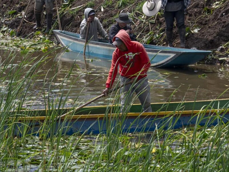 Avanza recuperación del canal de Erongarícuaro con trabajo de manos michoacanas