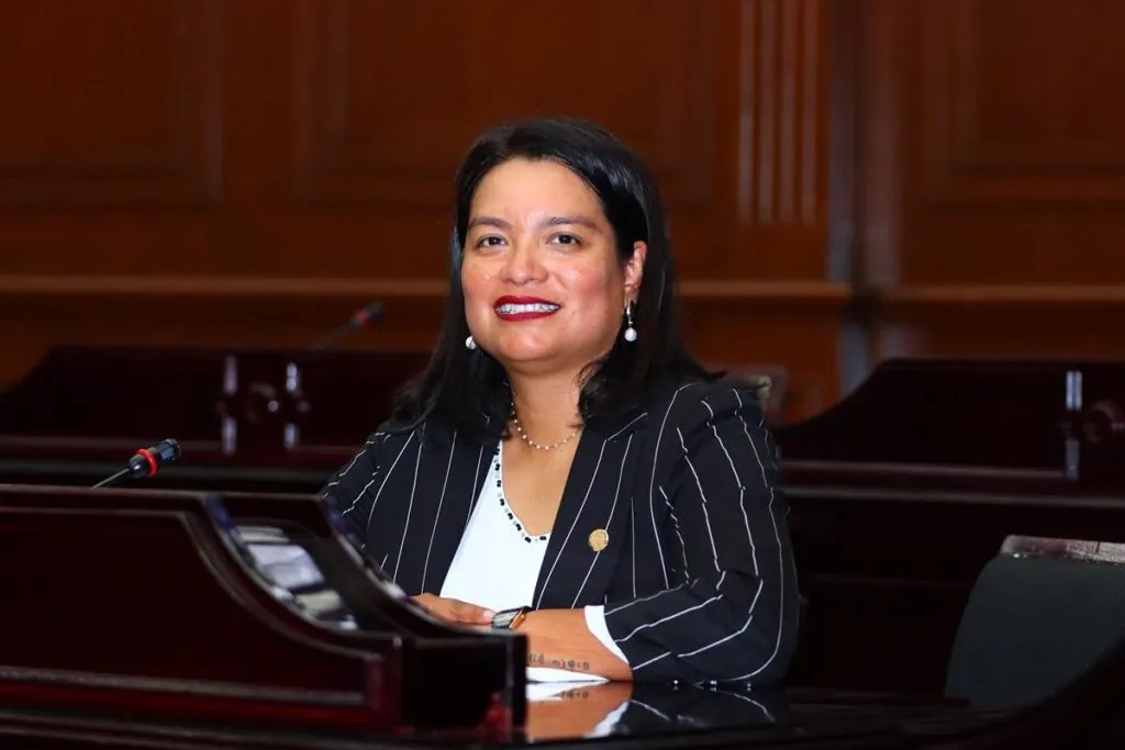Busca Michoacán sancionar la usurpación de identidad de género en candidaturas