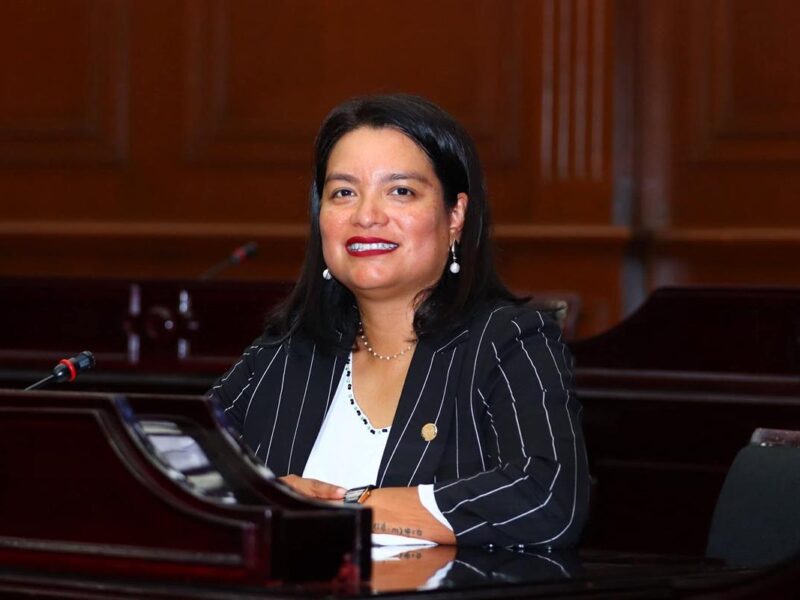 Busca Michoacán sancionar la usurpación de identidad de género en candidaturas