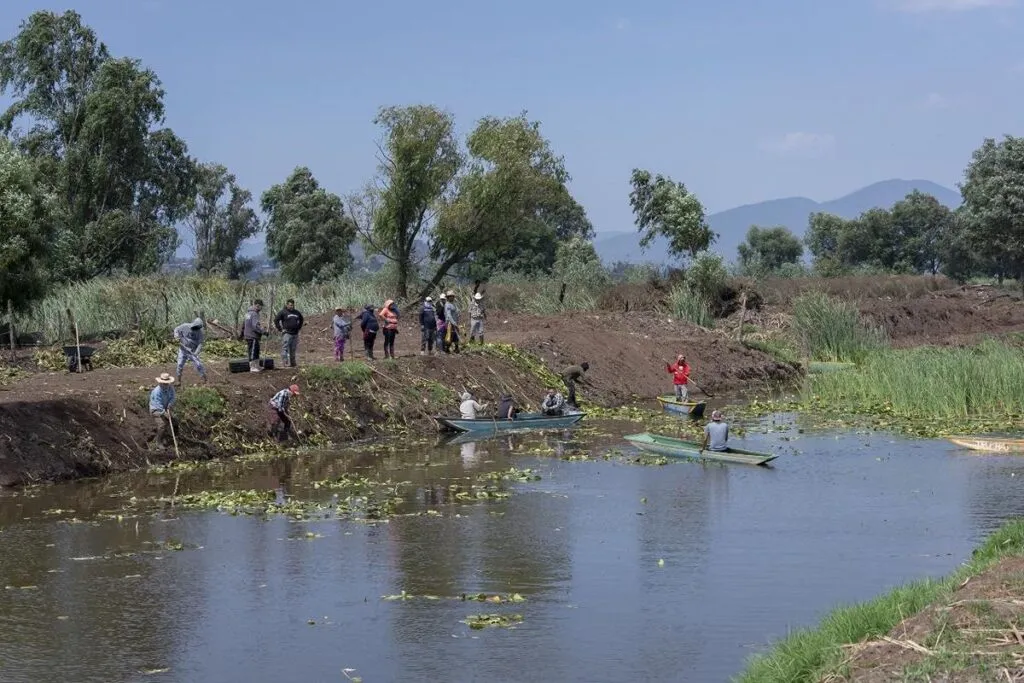 canal de Erongarícuaro avanza en su recuperación