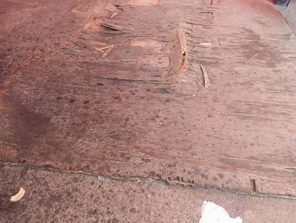 Colapsan drenajes recién rehabilitados en auditorio de Morelia