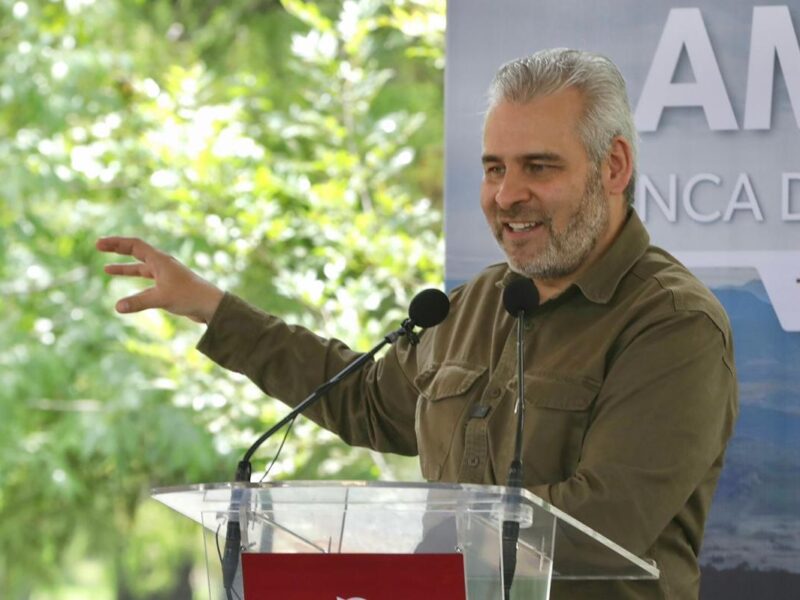 Con Guardián Forestal sumarán mil denuncias por deforestación este año: Bedolla