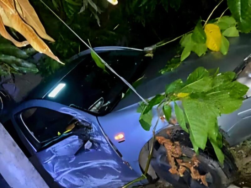 Conductor es asesinado en la Tacámbaro - Pedernales