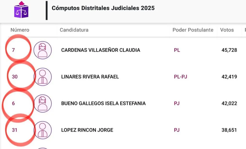 Denuncia juez federal Sergio Santamaría manipulación en elección judicial 5