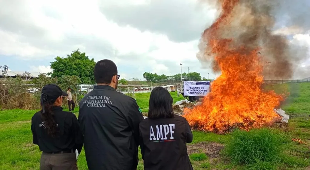 Destruyen 652 kilos de drogas en Charo, Michoacán