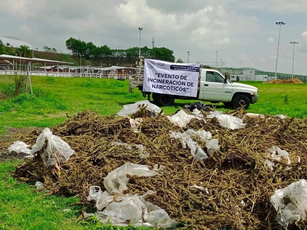 Destruyen 652 kilos de drogas en Michoacán