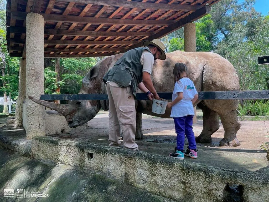 Disfruta verano en el Zoológico de Morelia