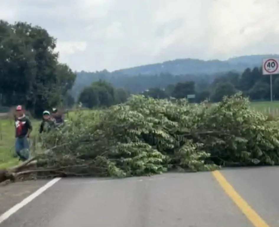 Embudo Nuboso Devasta Comunidades de Salvador Escalante; 14 Hogares Dañados 2