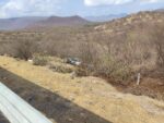 En accidente, se lesionan tres y muere uno tras volcar el vehículo en el que viajaban