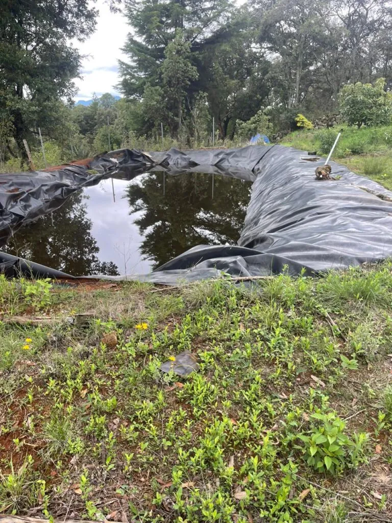 En Erongarícuaro, FGE asegura un predio por delitos contra el ambiente-1
