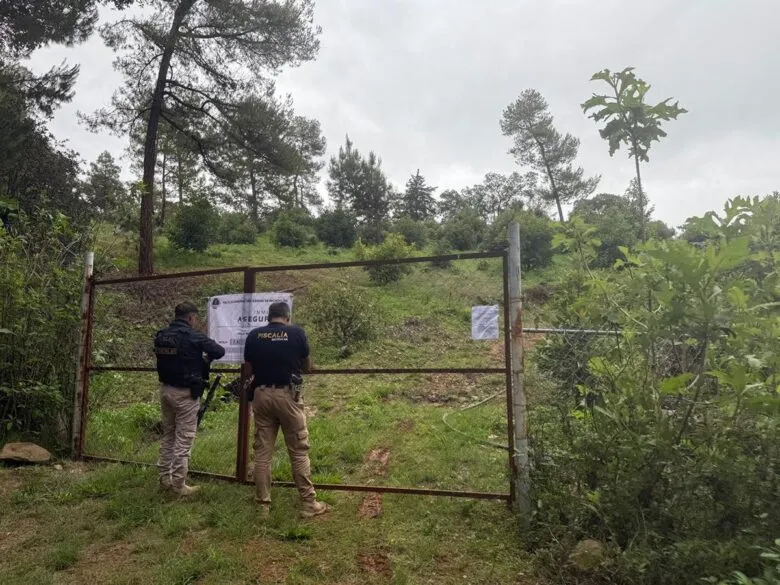 En Erongarícuaro, FGE asegura un predio por delitos contra el ambiente