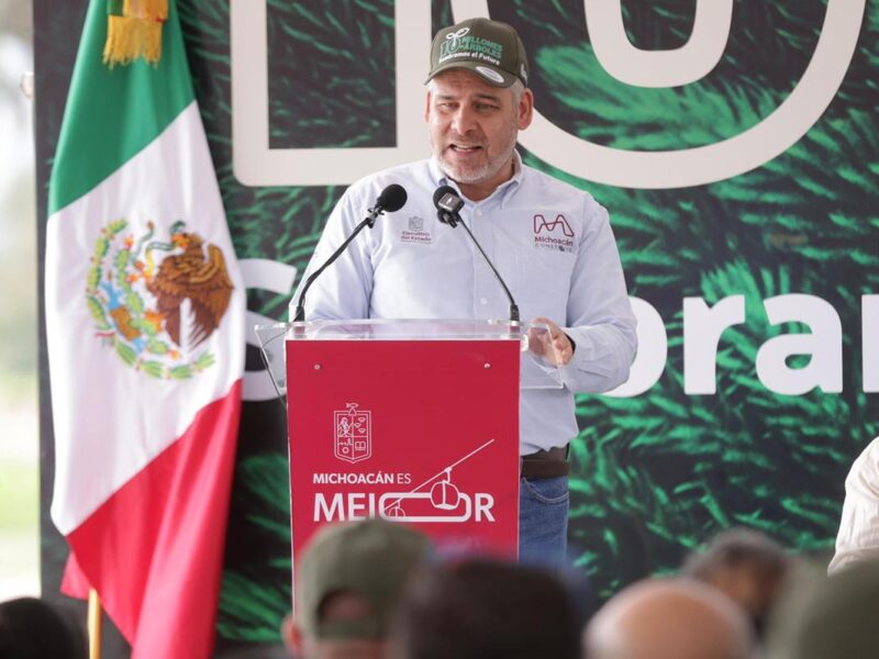 En julio inicia dispersión aérea de 200 mil semillas para reforestar: Bedolla