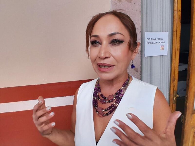 En la bancada de Morena, hay falta de respeto a las formas políticas y acuerdos