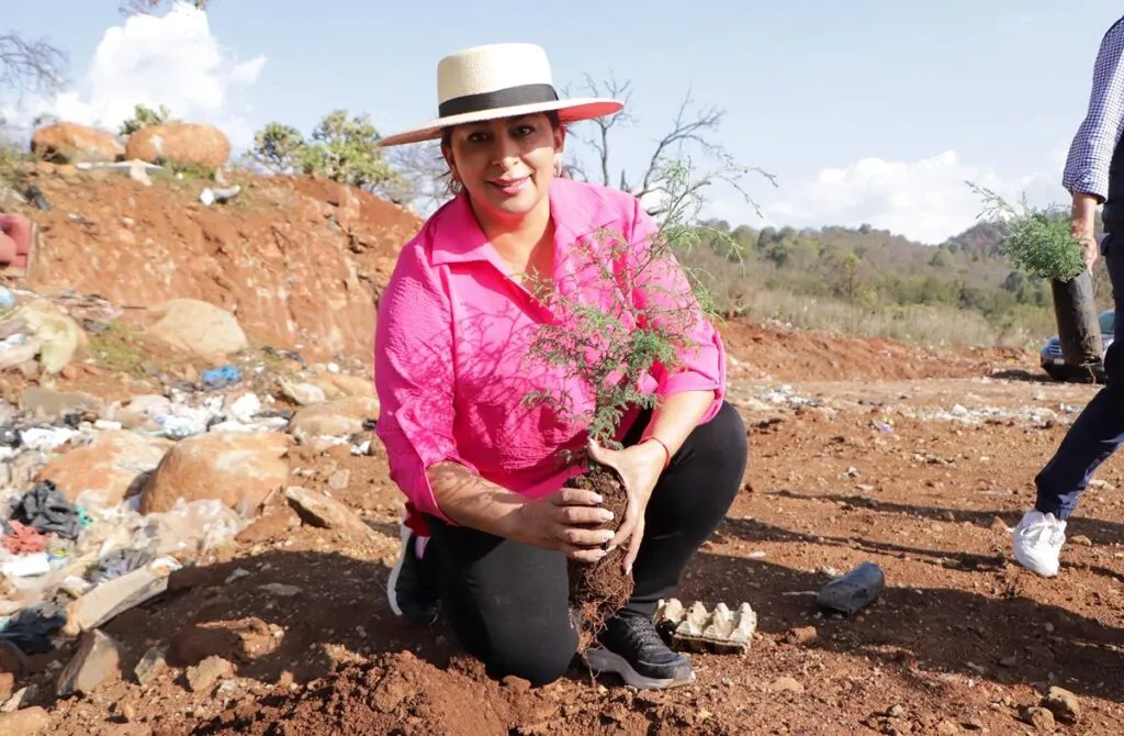 Gobierno de Quiroga reforestación en el Día Mundial del Medio Ambiente