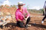 Gobierno de Quiroga plantó más de 500 árboles en el Día Mundial del Medio Ambiente