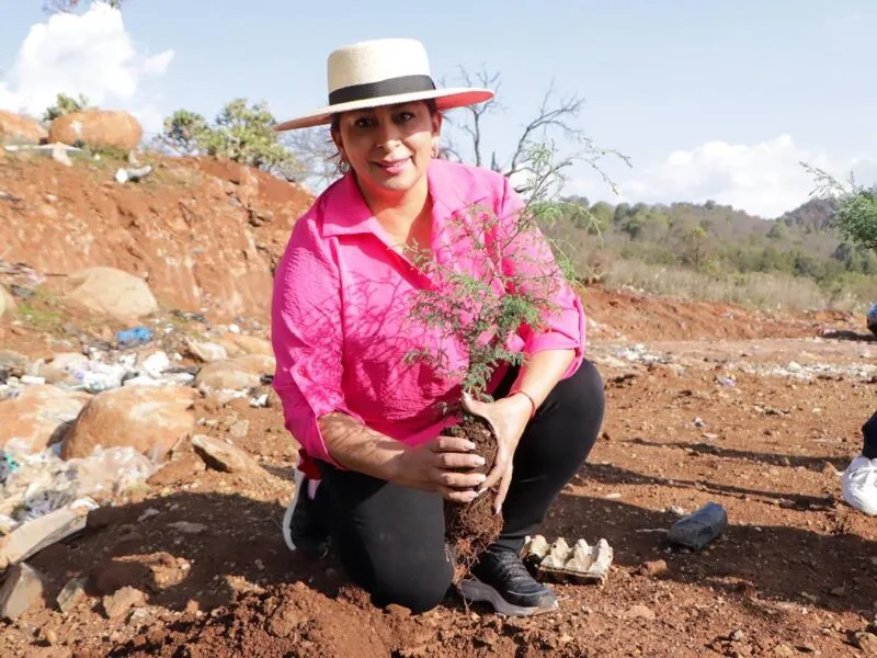 Gobierno de Quiroga reforestación en el Día Mundial del Medio Ambiente