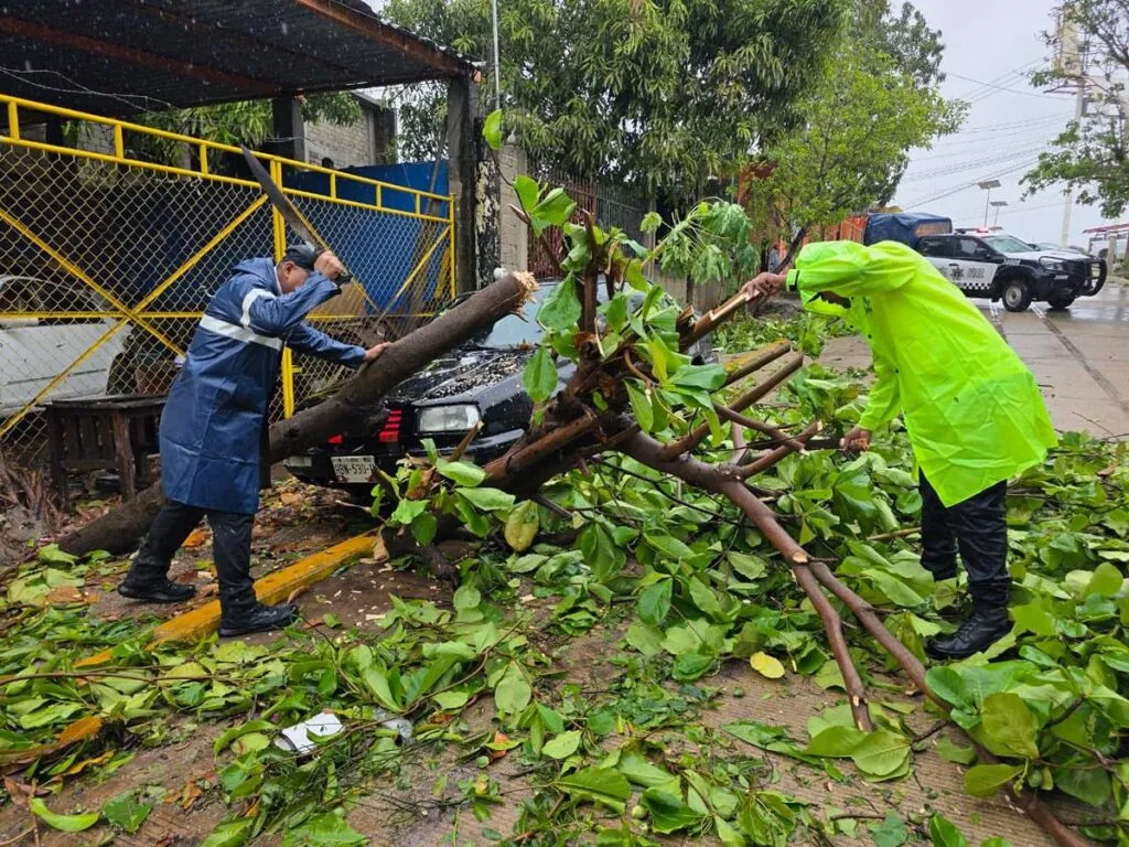 Huracán Erick daña 500 casas en Guerrero 1