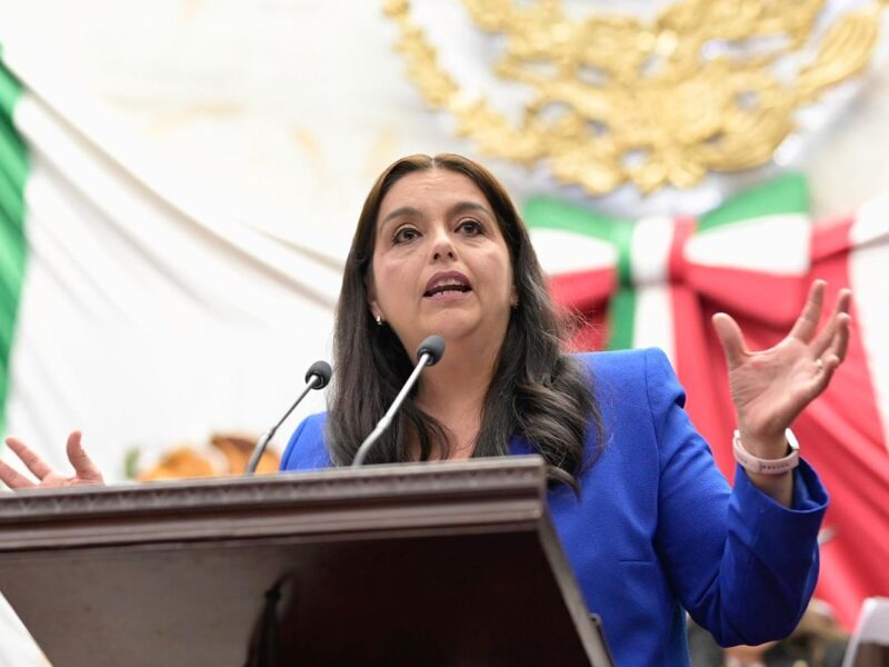 Inició una etapa obscura para la democracia en el país: diputada Tere Herrera