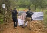 Investiga FGE predio relacionado con tala y cultivo ilegal de aguacate en Salvador Escalante