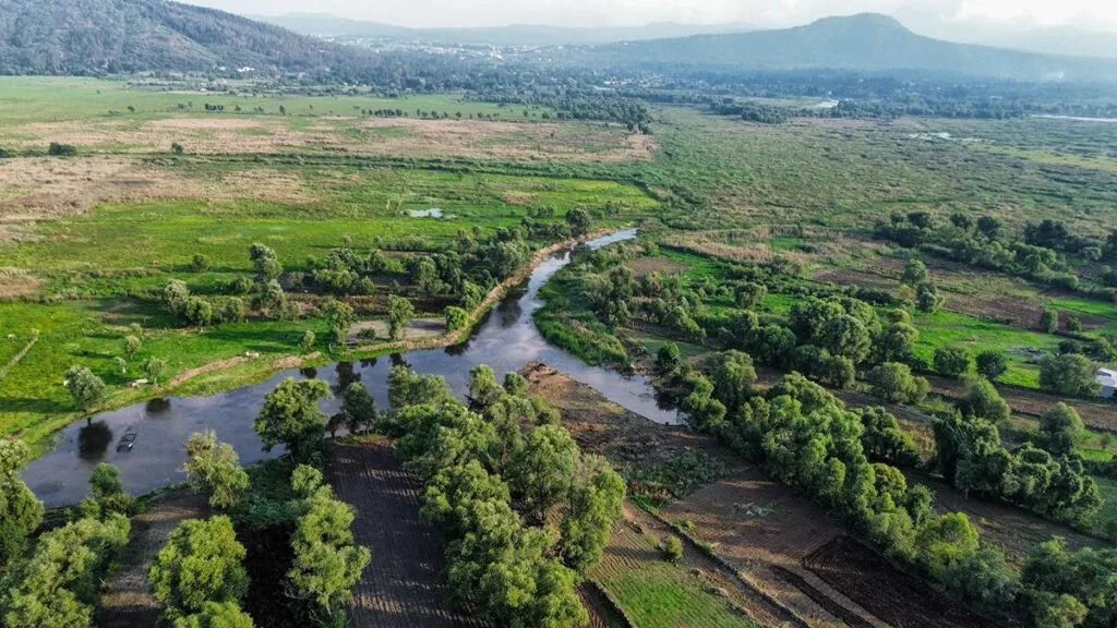 Lago de Pátzcuaro renace con 5 nuevos manantiales