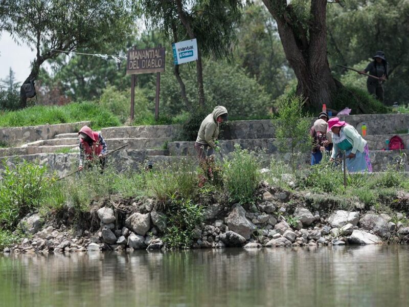 Lago de Pátzcuaro renace con 5 nuevos manantiales en Urandén: Compesca