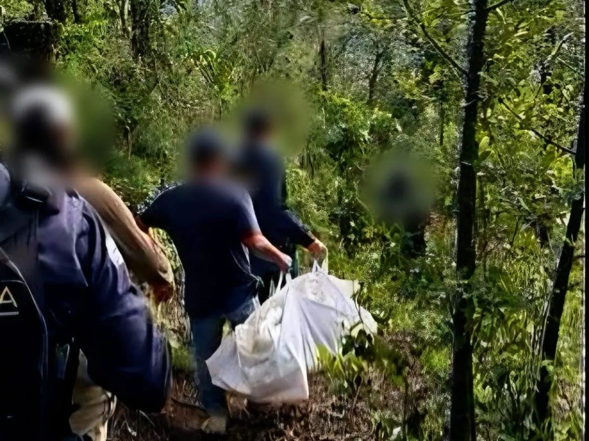 Localizan a hombre sin vida en Nahuatzen; habría desaparecido en diciembre de 2024