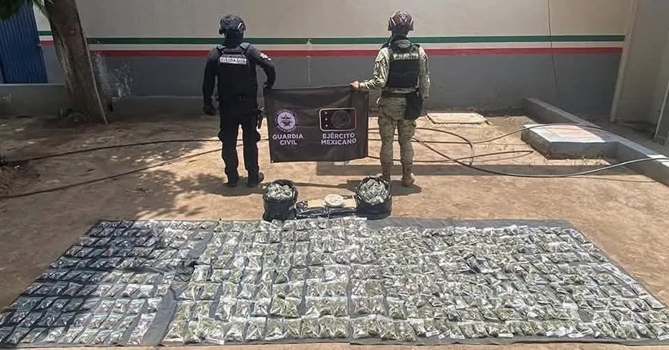 Más de 470 kg de droga asegurada en el mes de mayo: SSP